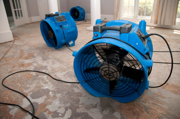 Best Water damage restoration near me  in Delta, OH