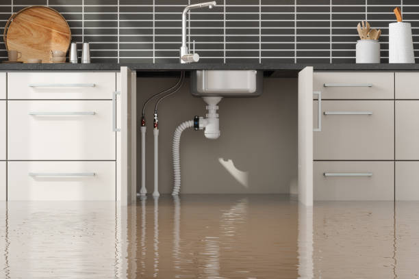 Best Mold removal after water damage  in Delta, OH