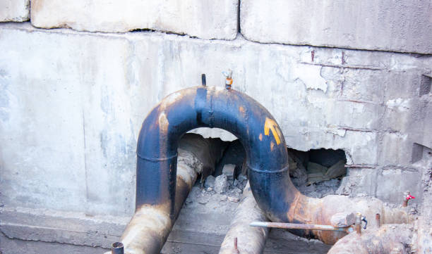Best Carpet water damage restoration  in Delta, OH