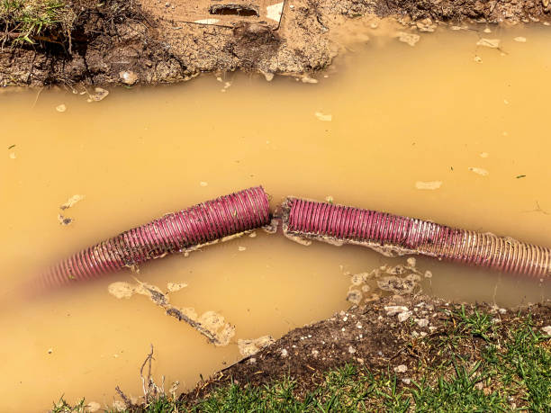 Best Sewage cleanup and water damage restoration  in Delta, OH