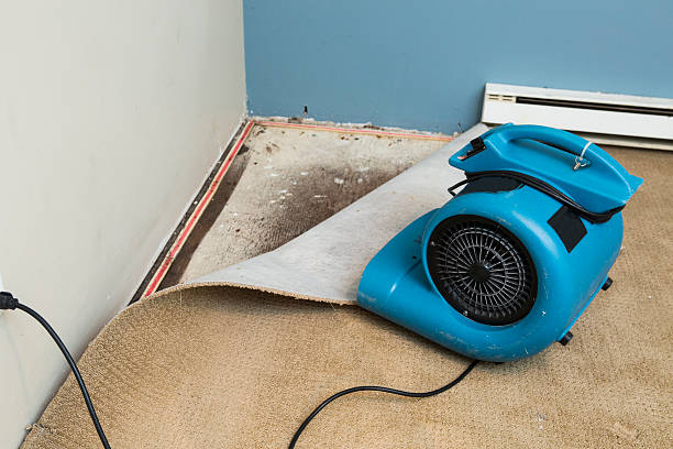 Delta, OH Water damage restoration Pros